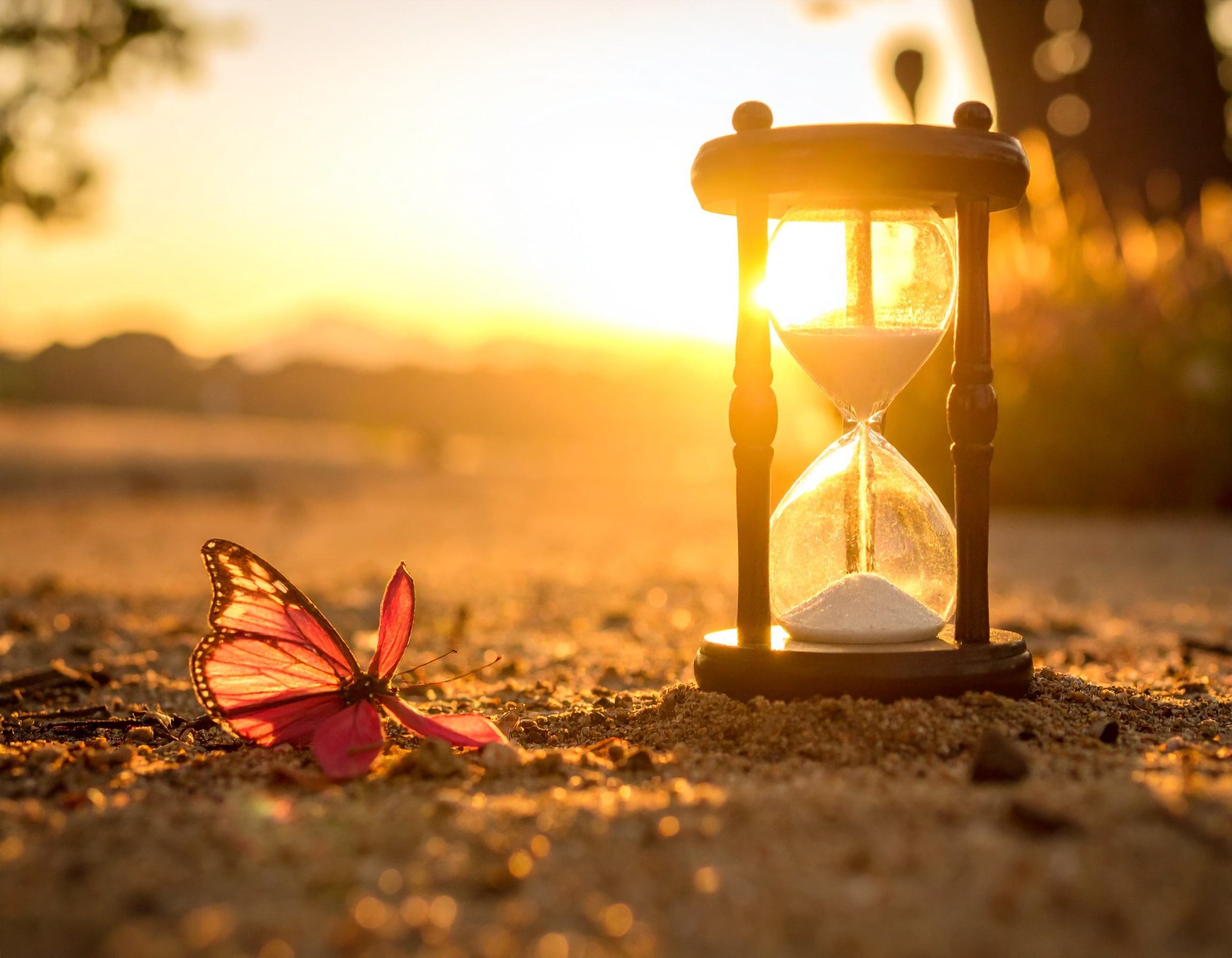 gagner du temps